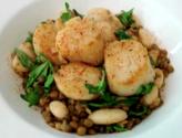 Seared Scallops Over Arugula Lentils And Bean Salad